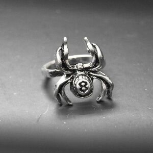 Silver Spider Ring